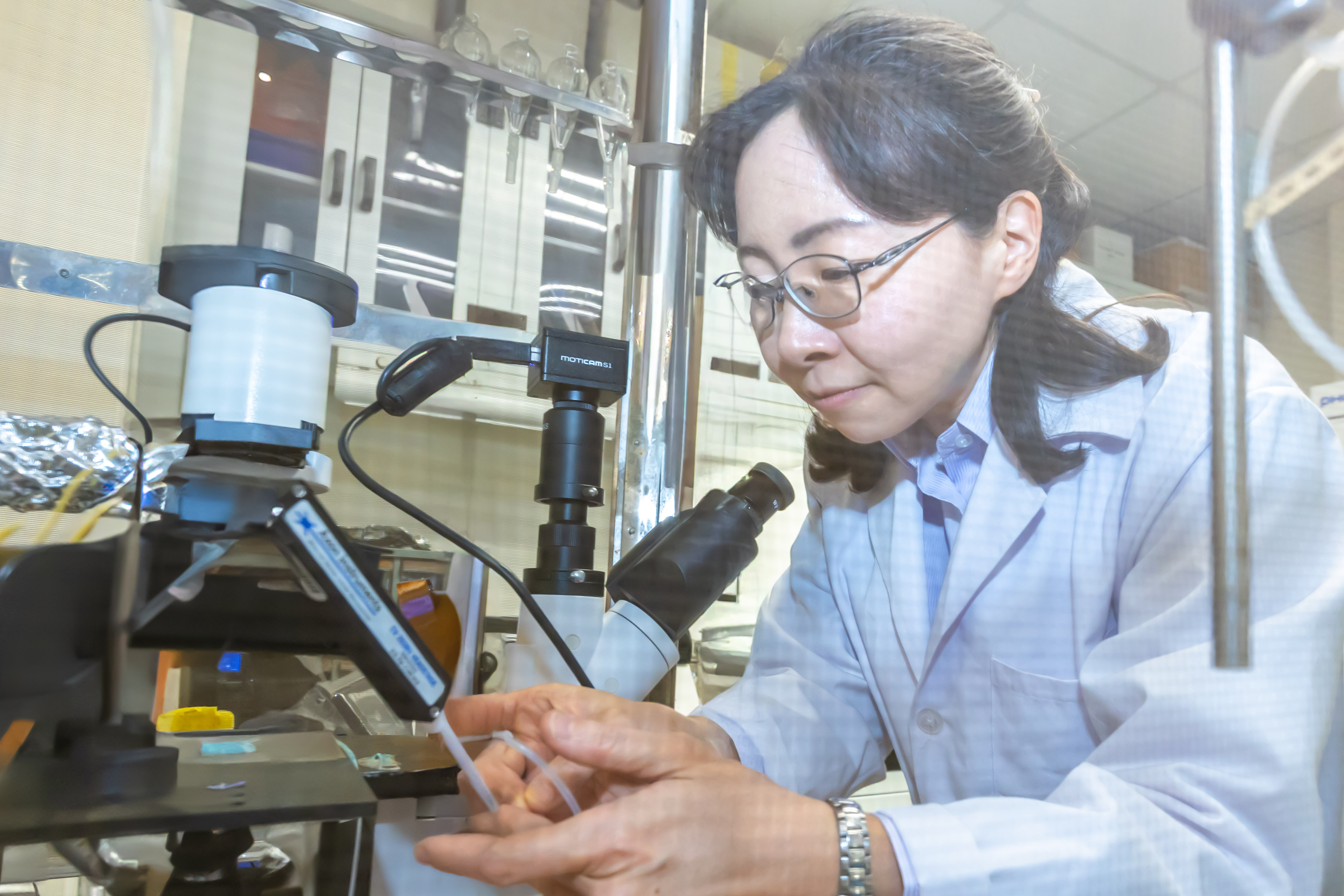 Lin's research team uses specific wavelengths of blue light to control the intracellular transport system.